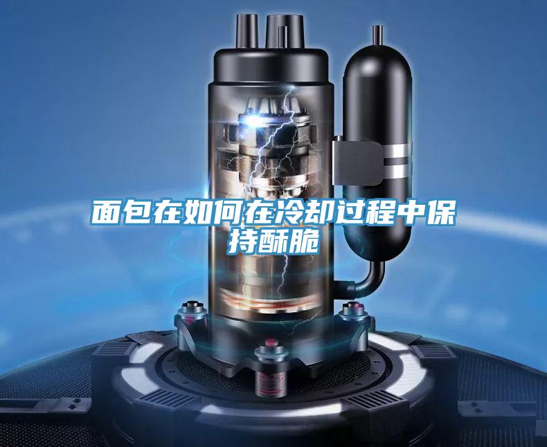 麵包在如何在冷卻過程中保持酥脆