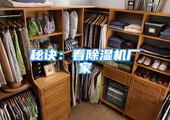 秘訣:看好色先生在线播放廠家