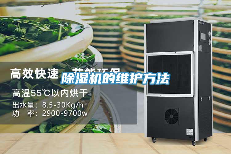 好色先生在线播放的維護方法