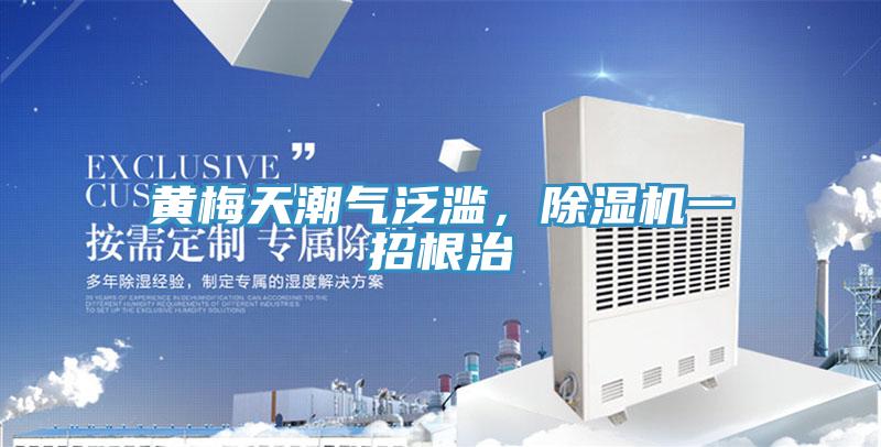 黃梅天潮氣泛濫,好色先生在线播放一招根治