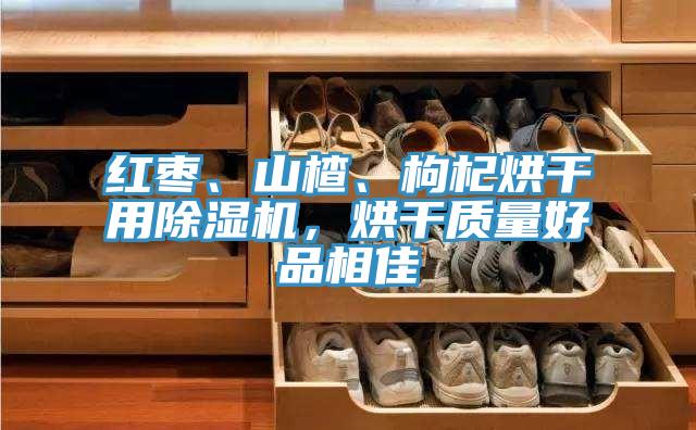 紅棗、山楂、枸杞烘幹用好色先生在线播放，烘幹質量好品相佳