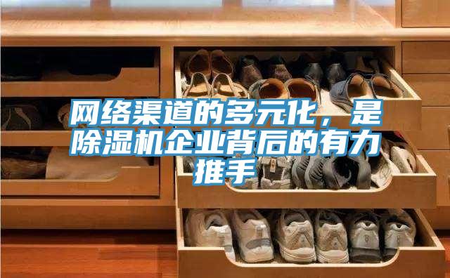 網絡渠道的多元化，是好色先生在线播放企業背後的有力推手