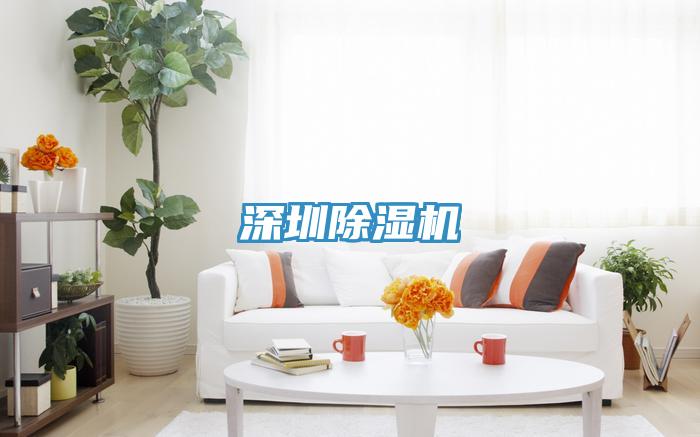 深圳好色先生在线播放