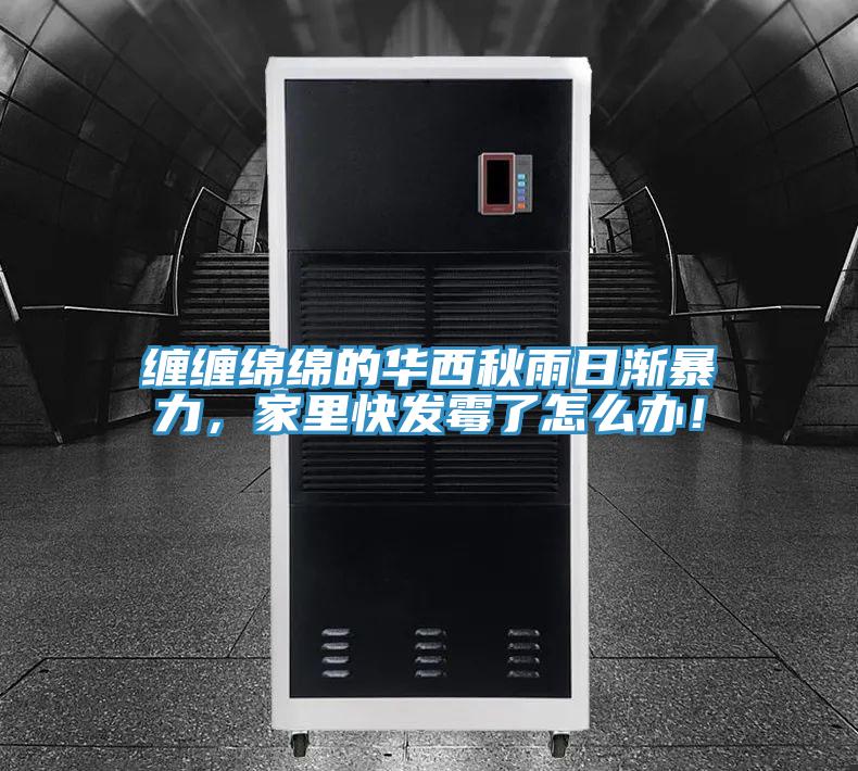 纏纏綿綿的華西秋雨日漸暴力,家裏快發黴了怎麽辦!
