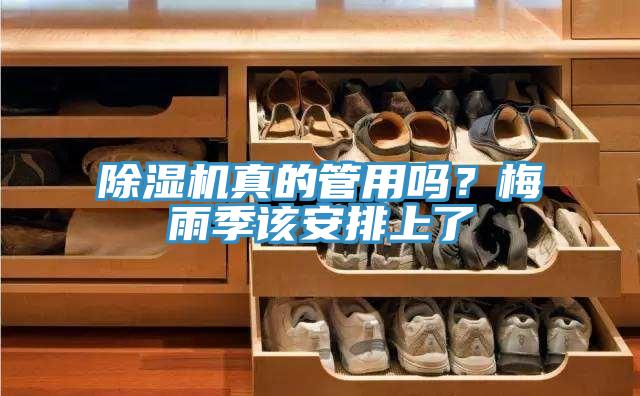 好色先生在线播放真的管用嗎？梅雨季該安排上了