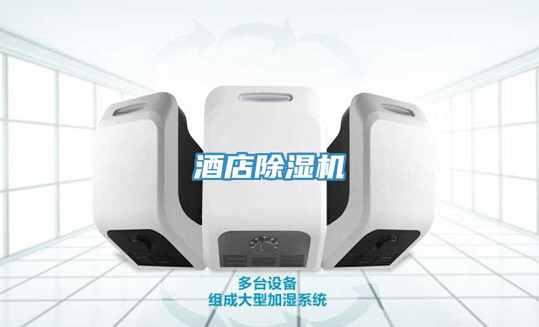 酒店好色先生在线播放