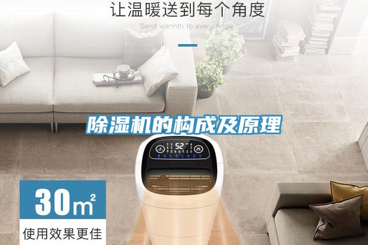 好色先生在线播放的構成及原理