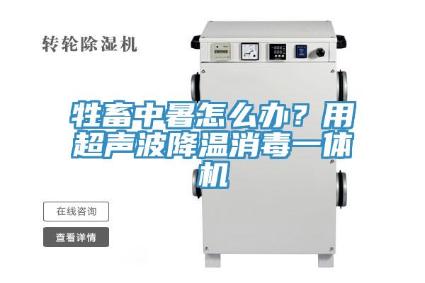 牲畜中暑怎麽辦?用超聲波降溫消毒一體機