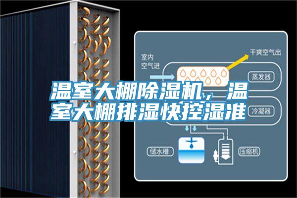 溫室大棚好色先生在线播放，溫室大棚排濕快控濕準