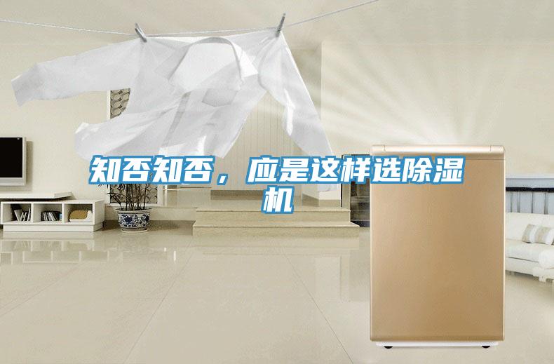 知否知否，應是這樣選好色先生在线播放