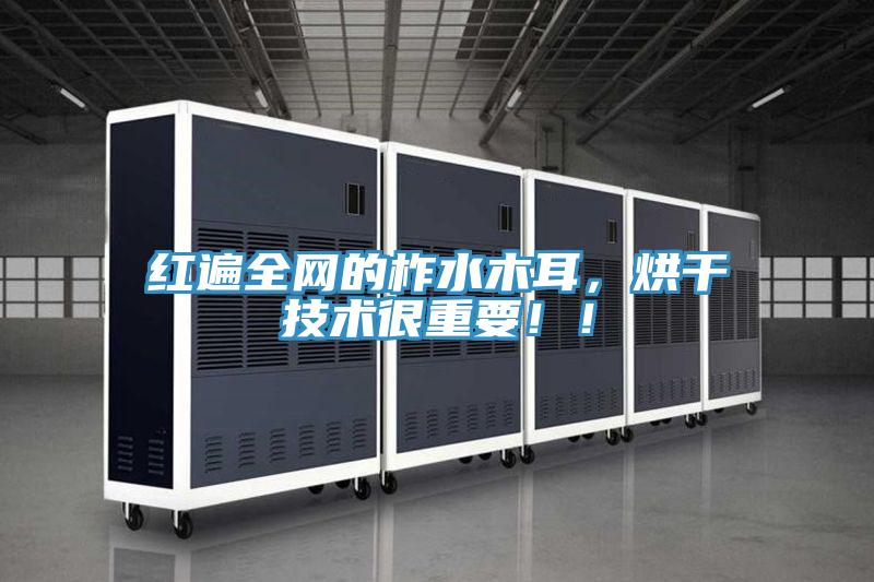 紅遍全網的柞水木耳,烘幹技術很重要!!