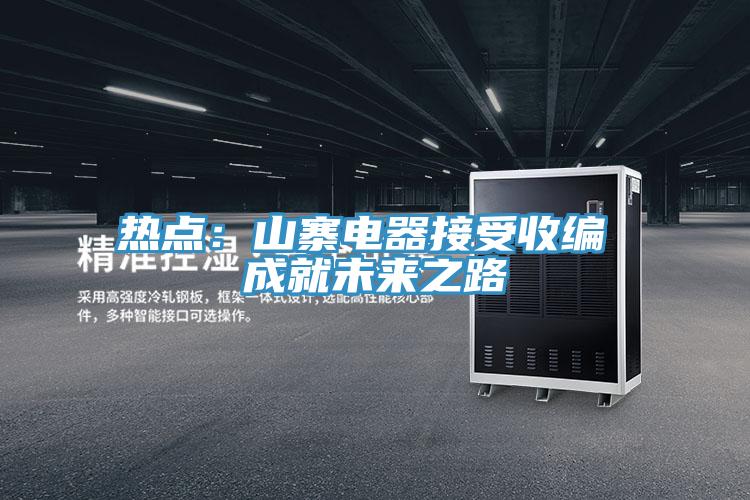 熱點：山寨電器接受收編 成就未來之路