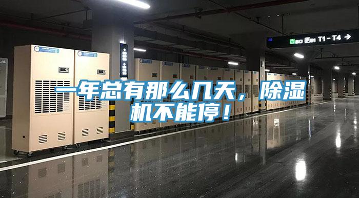 一年總有那麽幾天，好色先生在线播放不能停！