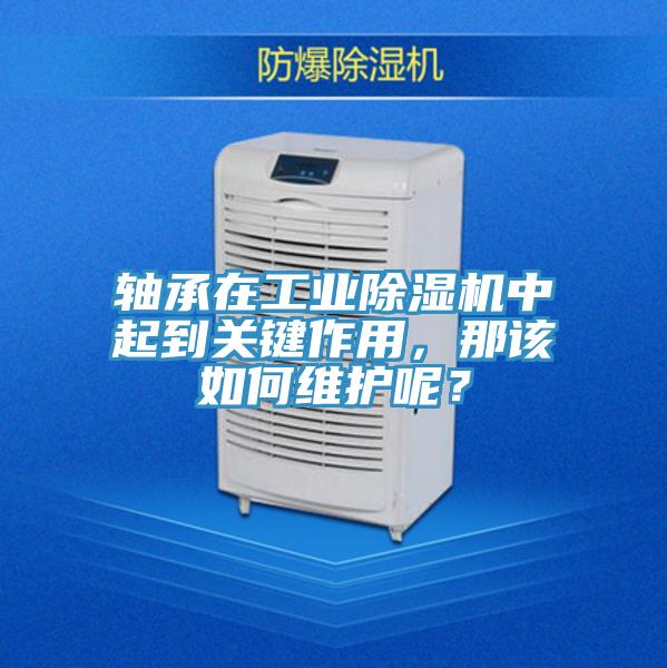 軸承在工業好色先生在线播放中起到關鍵作用，那該如何維護呢？