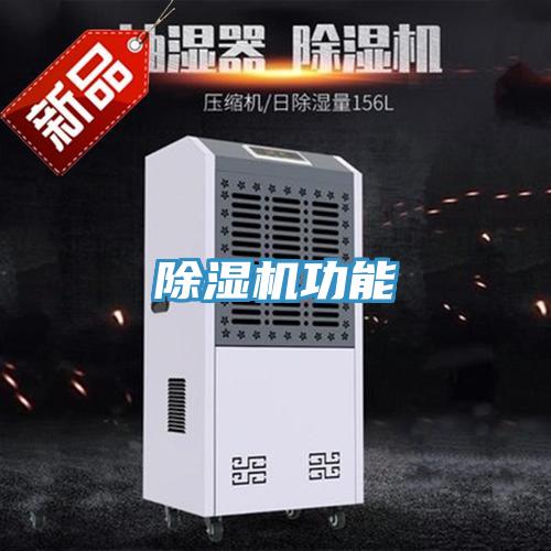 好色先生在线播放功能