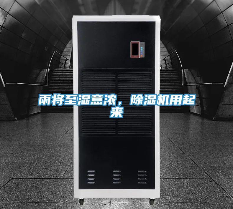 雨將至濕意濃，好色先生在线播放用起來