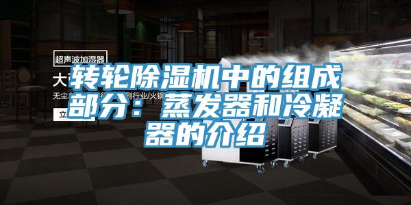 轉輪好色先生在线播放中的組成部分：蒸發器和冷凝器的介紹