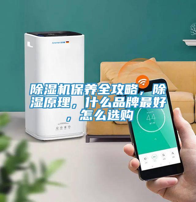 好色先生在线播放保養全攻略,除濕原理,什麽品牌最好,怎麽選購