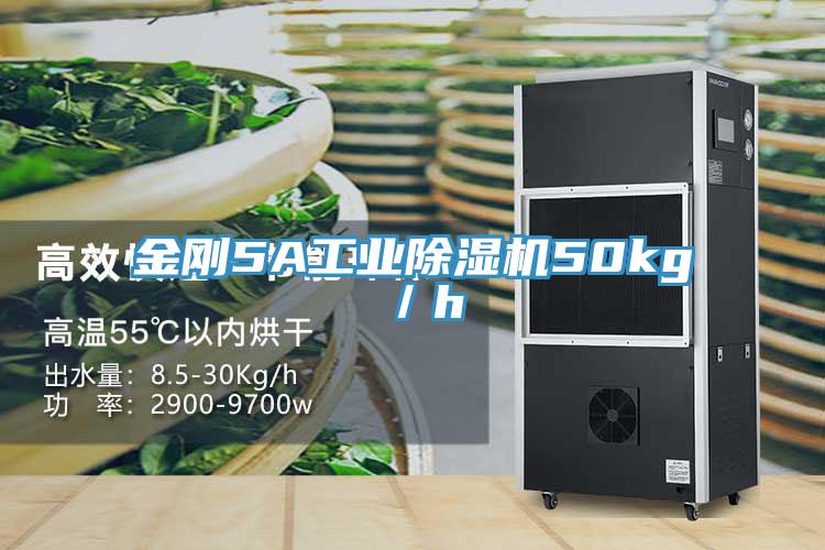 金剛5A工業好色先生在线播放50kg／h