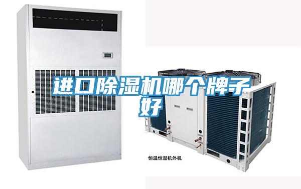 進口好色先生在线播放哪個牌子好