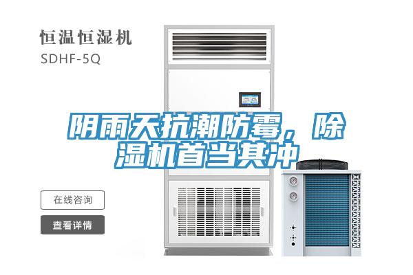 陰雨天抗潮防黴,好色先生在线播放首當其衝