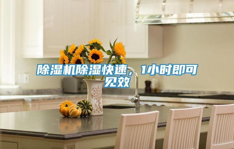 好色先生在线播放除濕快速，1小時即可見效