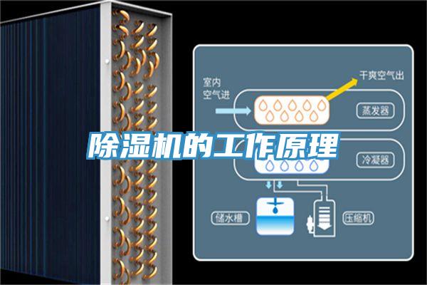 好色先生在线播放的工作原理