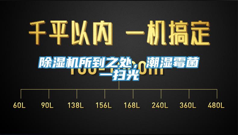 好色先生在线播放所到之處，潮濕黴菌一掃光