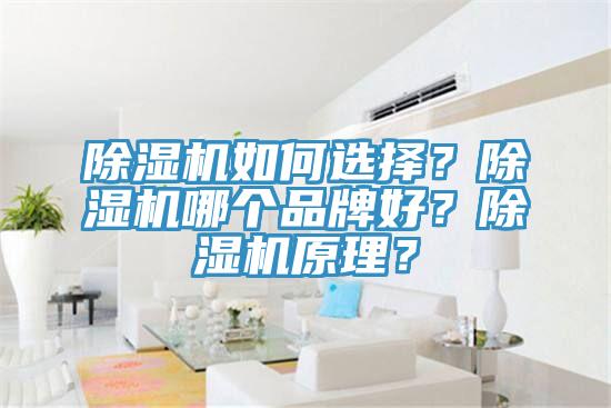 好色先生在线播放如何選擇?好色先生在线播放哪個品牌好?好色先生在线播放原理?