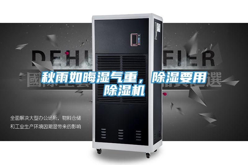 秋雨如晦濕氣重,除濕要用好色先生在线播放