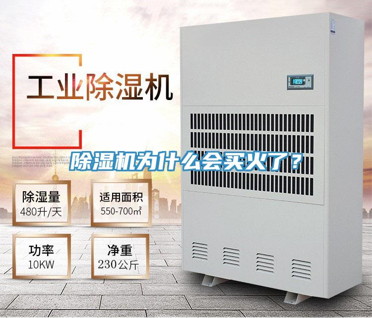 好色先生在线播放為什麽會買火了？