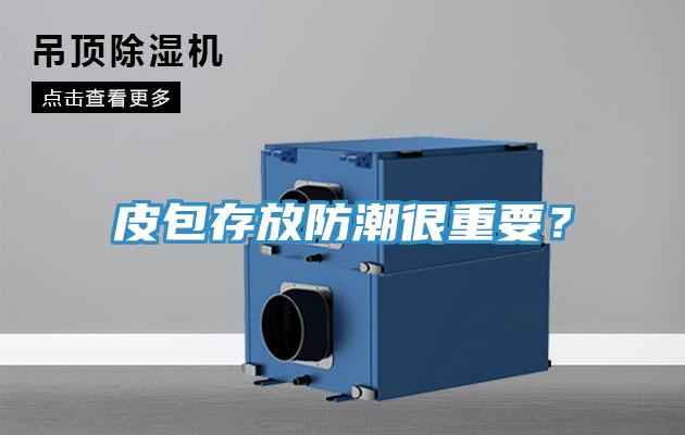 皮包存放防潮很重要？
