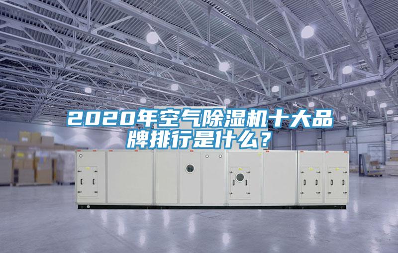 2020年空氣好色先生在线播放十大品牌排行是什麽？