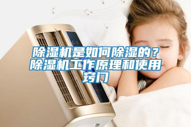 好色先生在线播放是如何除濕的?好色先生在线播放工作原理和使用竅門