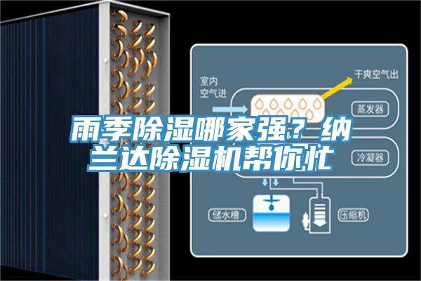 雨季除濕哪家強？納蘭達好色先生在线播放幫你忙