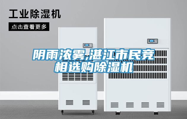 陰雨濃霧,湛江市民競相選購好色先生在线播放