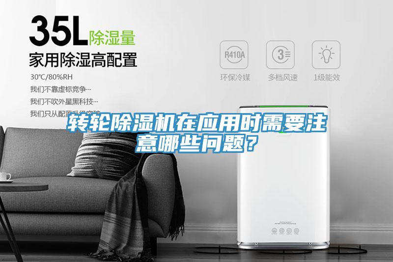 轉輪好色先生在线播放在應用時需要注意哪些問題？