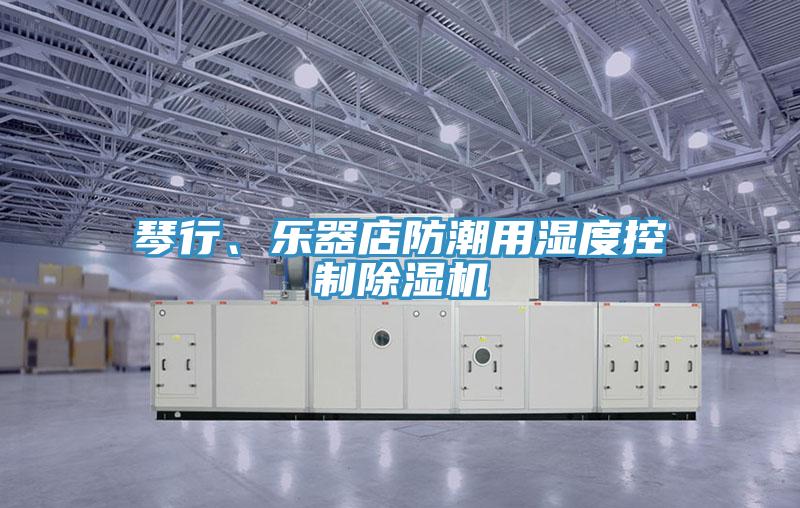 琴行、樂器店防潮用濕度控製好色先生在线播放