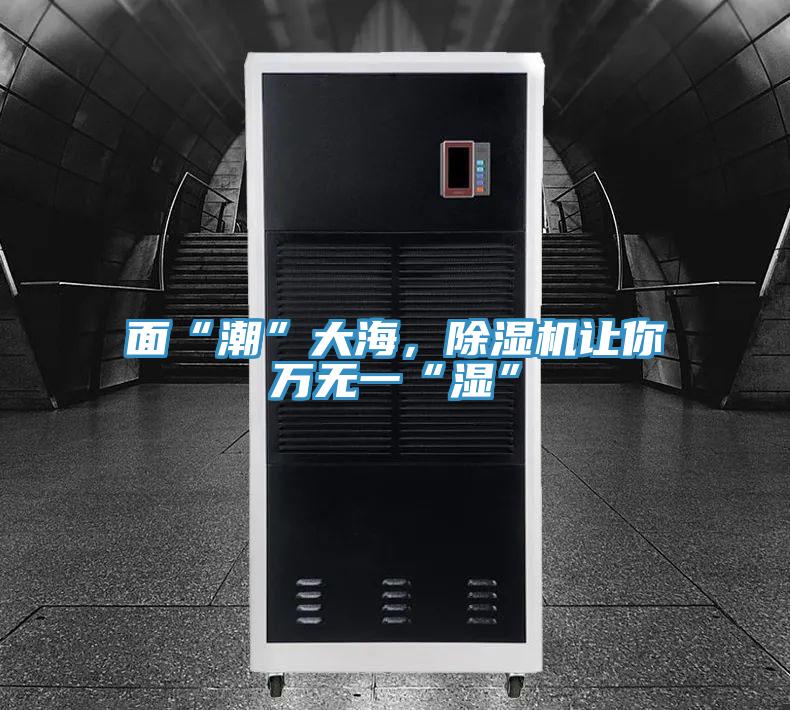 麵“潮”大海,好色先生在线播放讓你萬無一“濕”