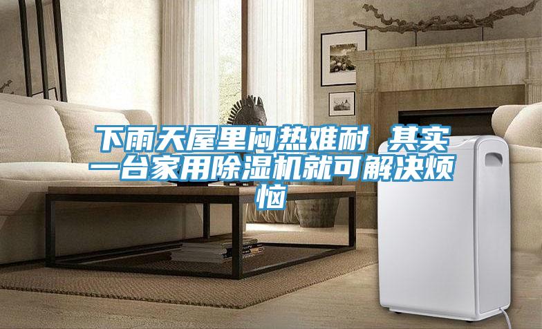 下雨天屋裏悶熱難耐 其實一台家用好色先生在线播放就可解決煩惱