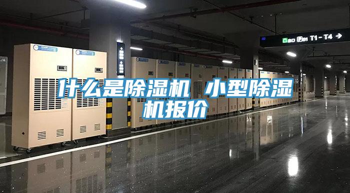 什麽是好色先生在线播放 小型好色先生在线播放報價