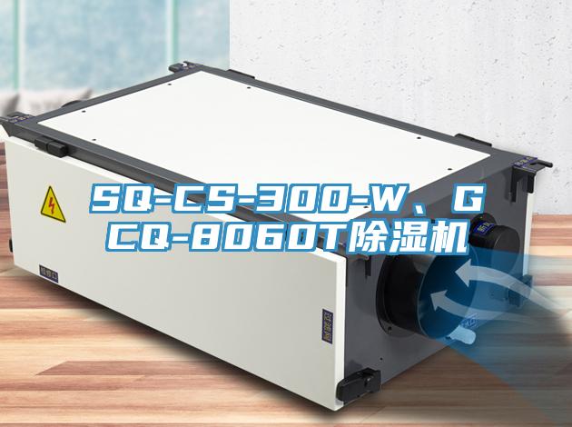 SQ-CS-300-W、GCQ-8060T好色先生在线播放