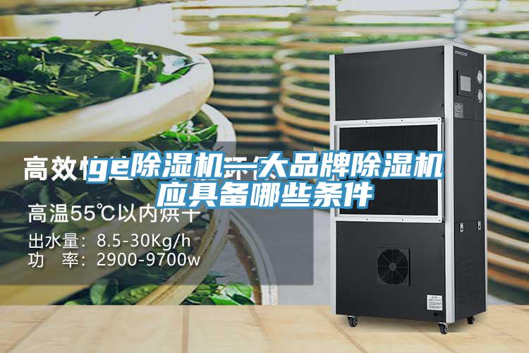 ge好色先生在线播放—大品牌好色先生在线播放應具備哪些條件