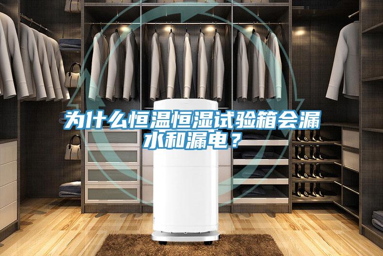 為什麽恒溫恒濕試驗箱會漏水和漏電？