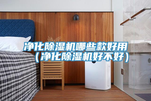 淨化好色先生在线播放哪些款好用(淨化好色先生在线播放好不好)