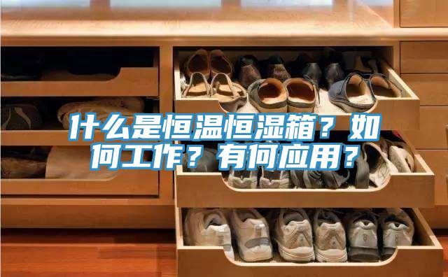 什麽是恒溫恒濕箱？如何工作？有何應用？