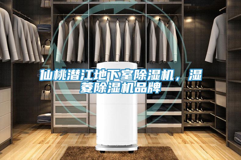 仙桃潛江地下室好色先生在线播放，濕菱好色先生在线播放品牌