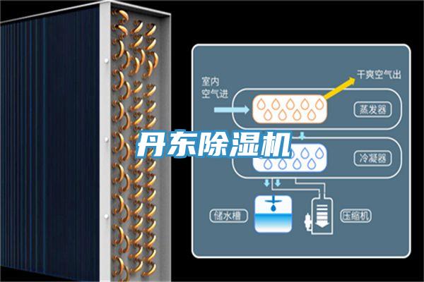 丹東好色先生在线播放