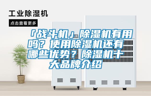 「戰鬥機」好色先生在线播放有用嗎？使用好色先生在线播放還有哪些優勢？好色先生在线播放十大品牌介紹