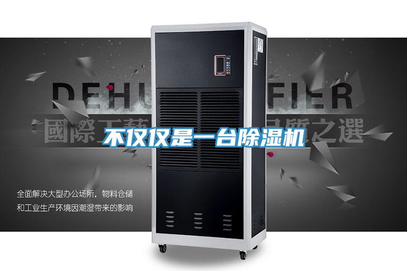 不僅僅是一台好色先生在线播放